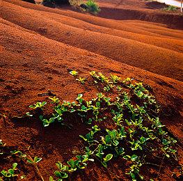 《守望先锋2》第4赛季“生命之梭”现已上线